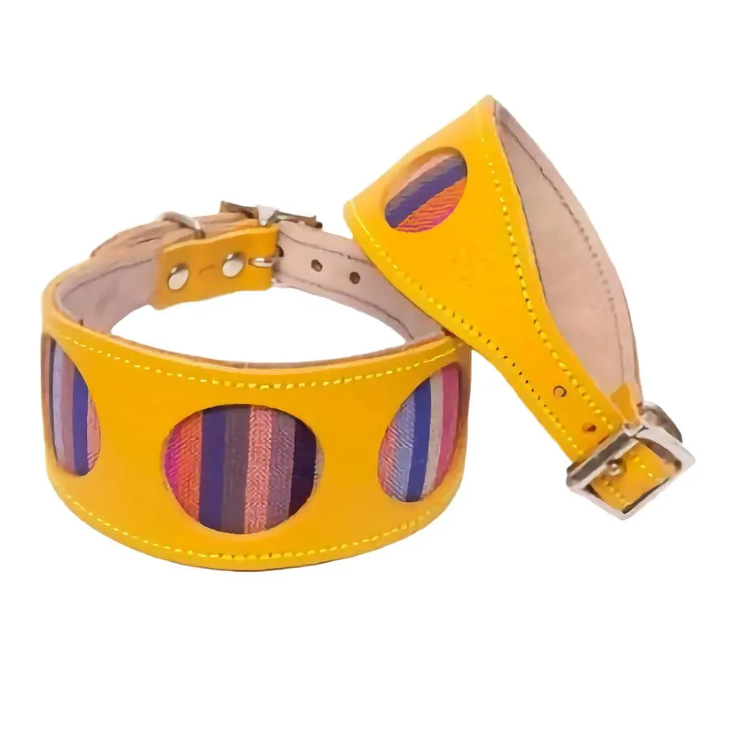 Hound Dog Collar - Yellow & Multicolour Stripe