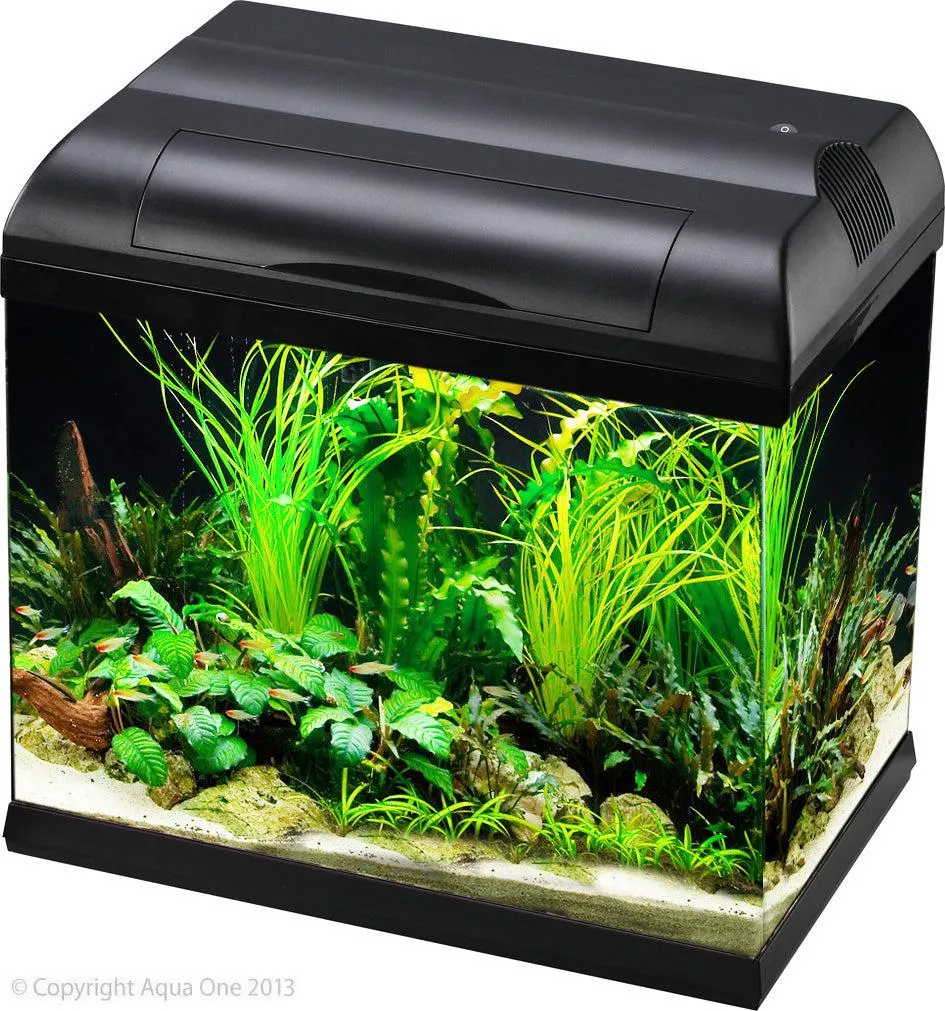 Aqua One Ecostyle 37 Tank