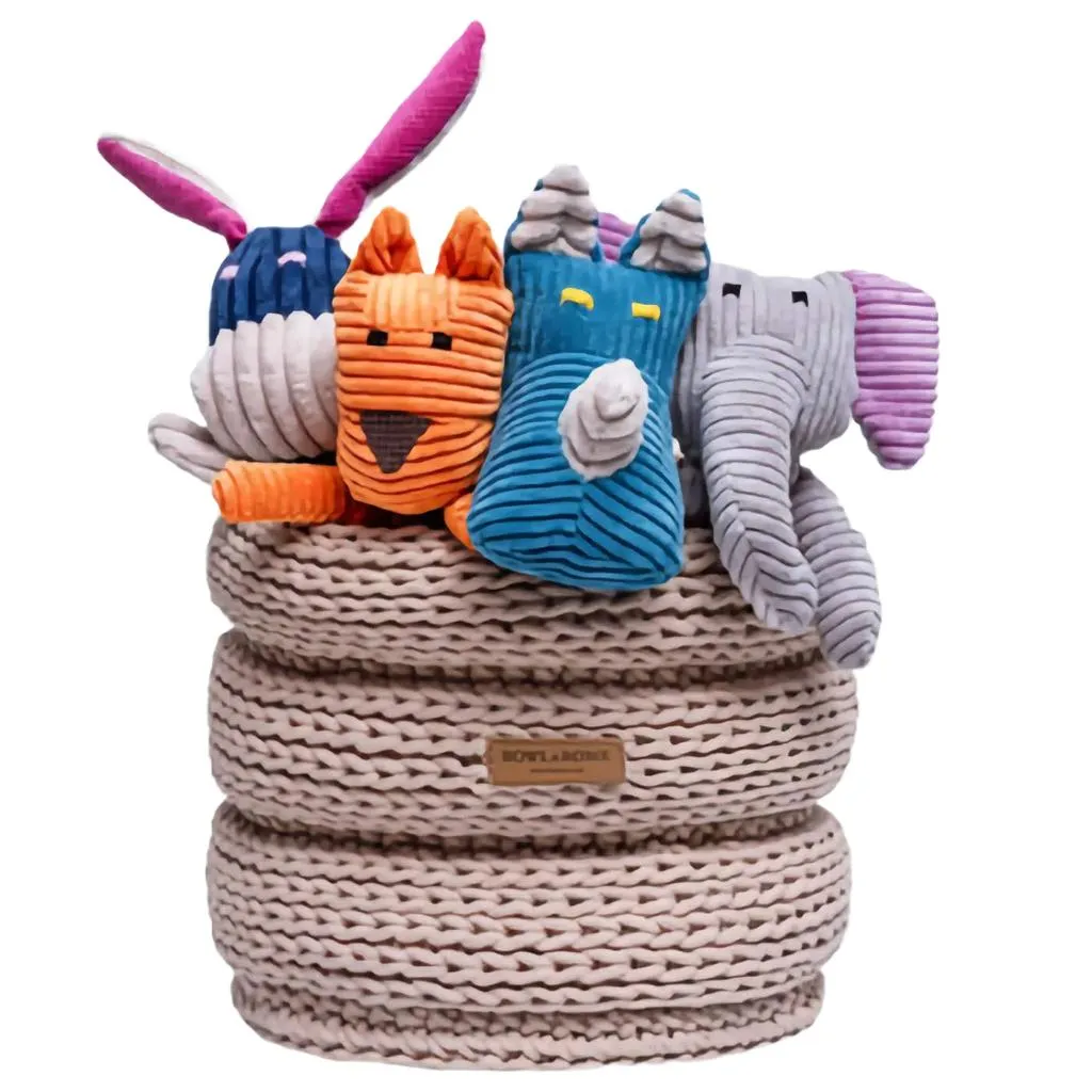 Ring Dog Toy Basket