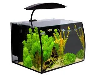 Arc 30 Glass Aquarium
