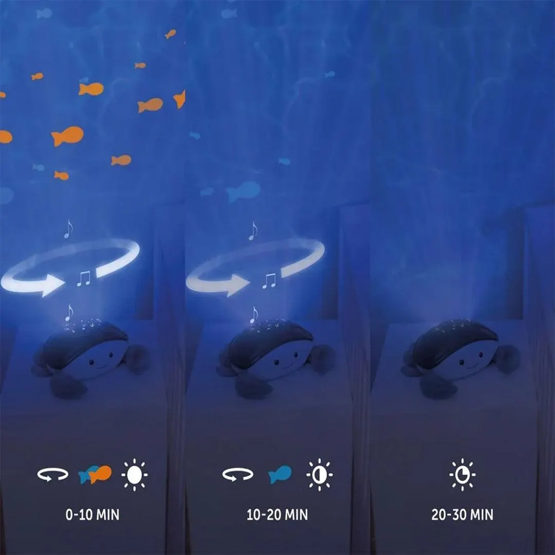 Zazu Cody The Crab Ocean Projector