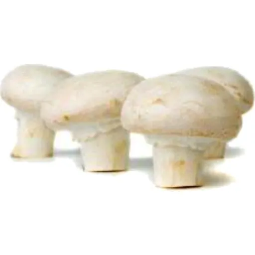 Mushrooms White Button