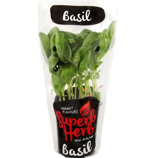Superb Herb Fresh Basil