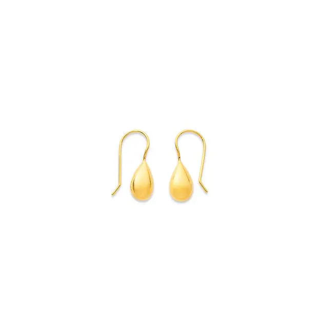 9ct Hook Drop Earrings