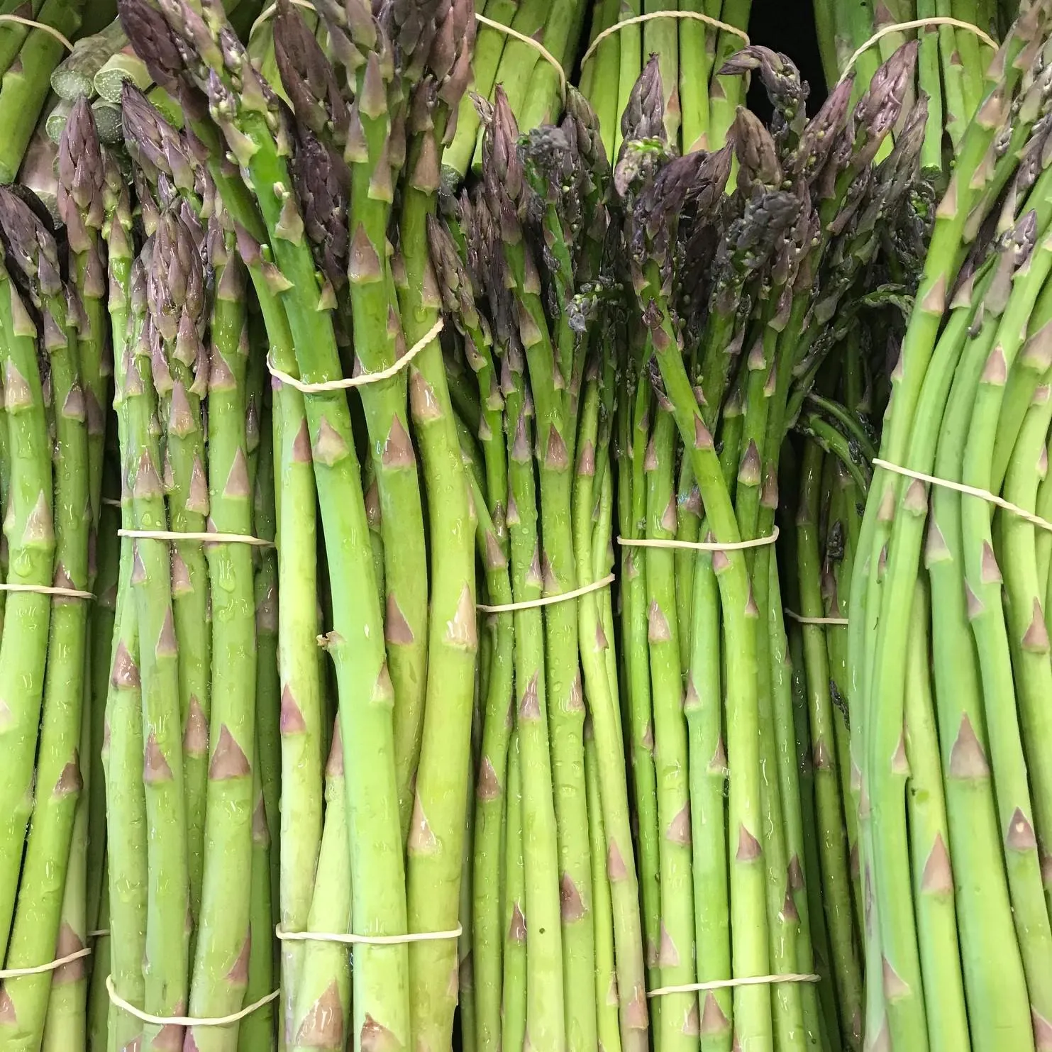 Asparagus