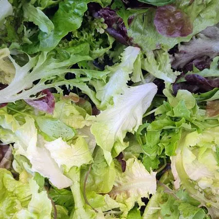 Salad Mix