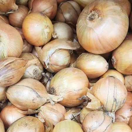 Onions