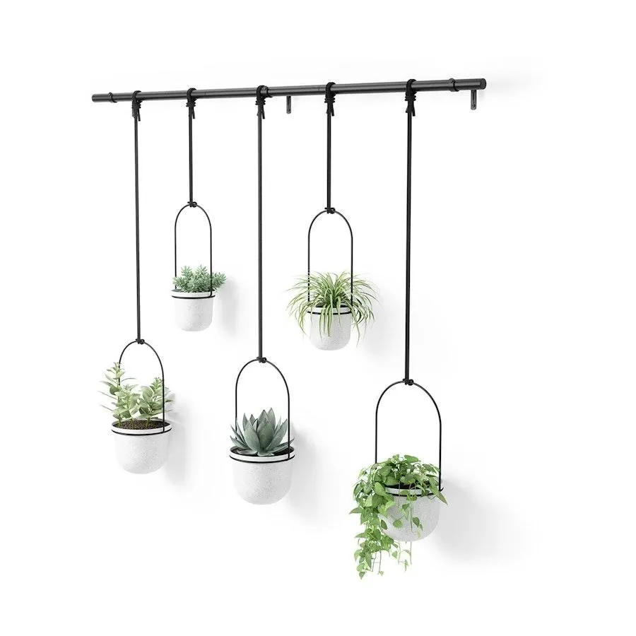 Umbra Triflora Hanging Planter (Set of 5) White