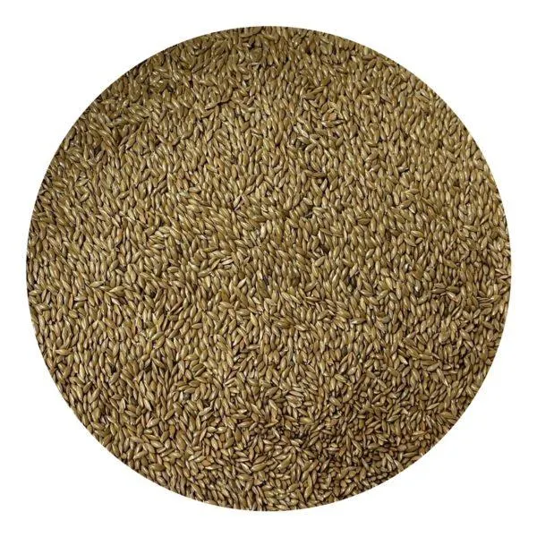 Canary Seed Plain 5kg
