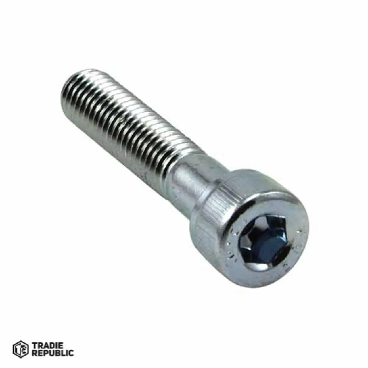 Champion SS 316 Cap Screw 8 Qty