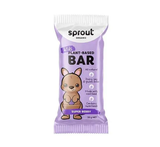 Plant-Based Kids Bars - Berry