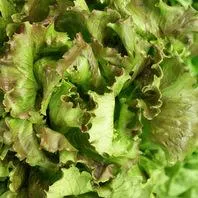 (each)