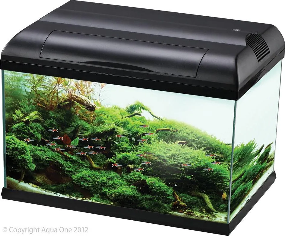 Aqua One Ecostyle 81 Tank