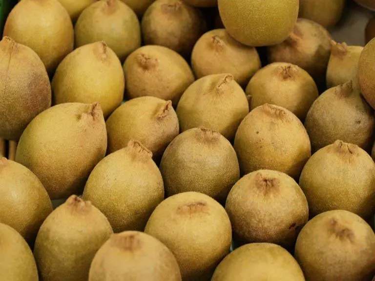 Golden Kiwifruit