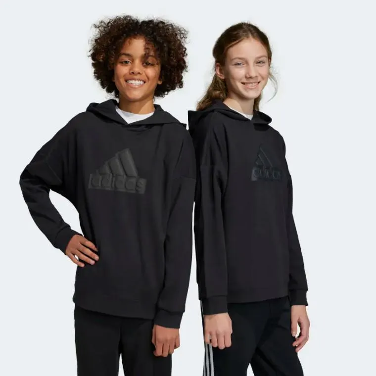 Adidas Youth Future Icons Logo Hoodie Black
