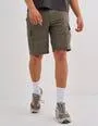 Legion Regular Fit Cargo Shorts in Green