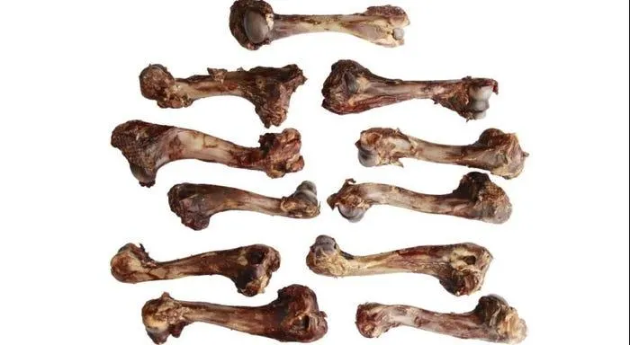 Butchers Superior Cuts Air Dried Venison T-rex Bone