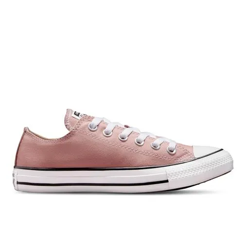 Converse Chuck Taylor All-Star Seasonal Slip Low Top