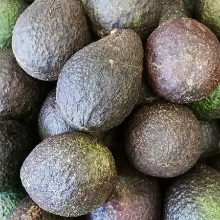 Avocado x 2 deal
