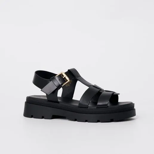 Number One Shoes + Hannahs 2024