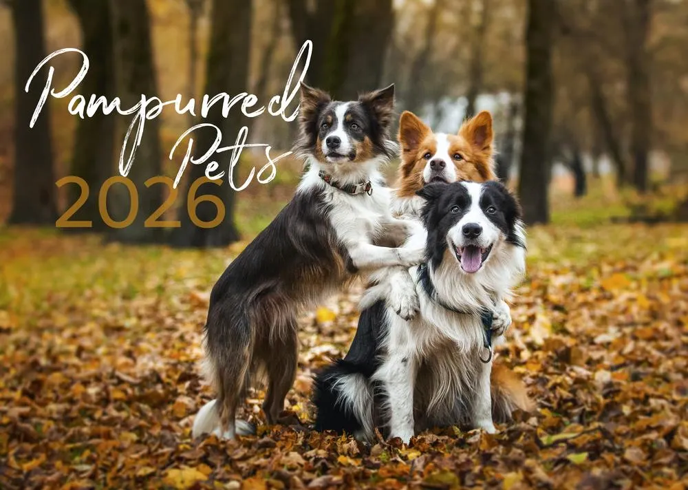 2026 Pampurred Pets Wall Calendar