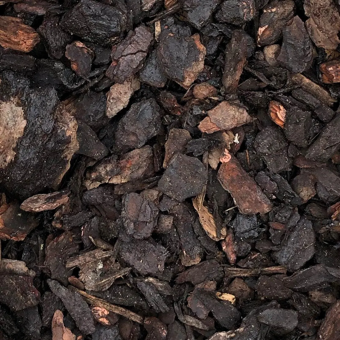 Kings Bark Nuggets - 40L