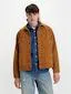 Levi's Sunrise Trucker Jacket In Dark Ginger