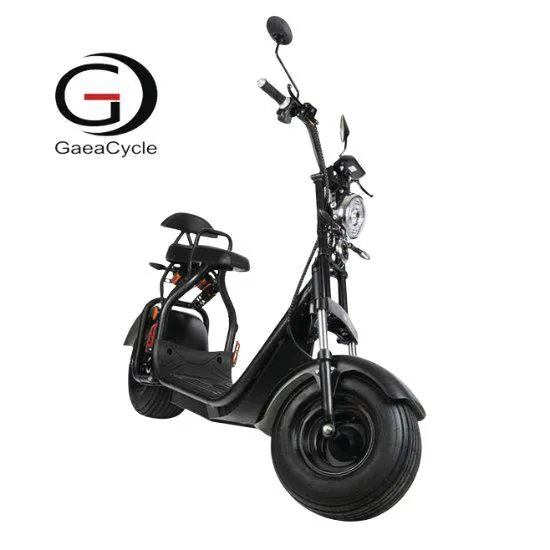 Fat Tyre Electric City Scooter