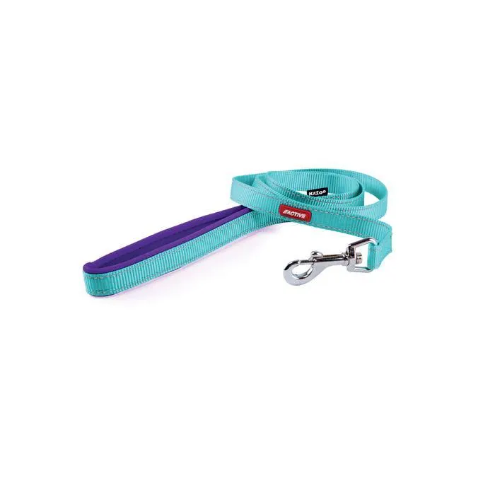 Kazoo Active Nylon Lead 120cm X 25mm Aqua/purple