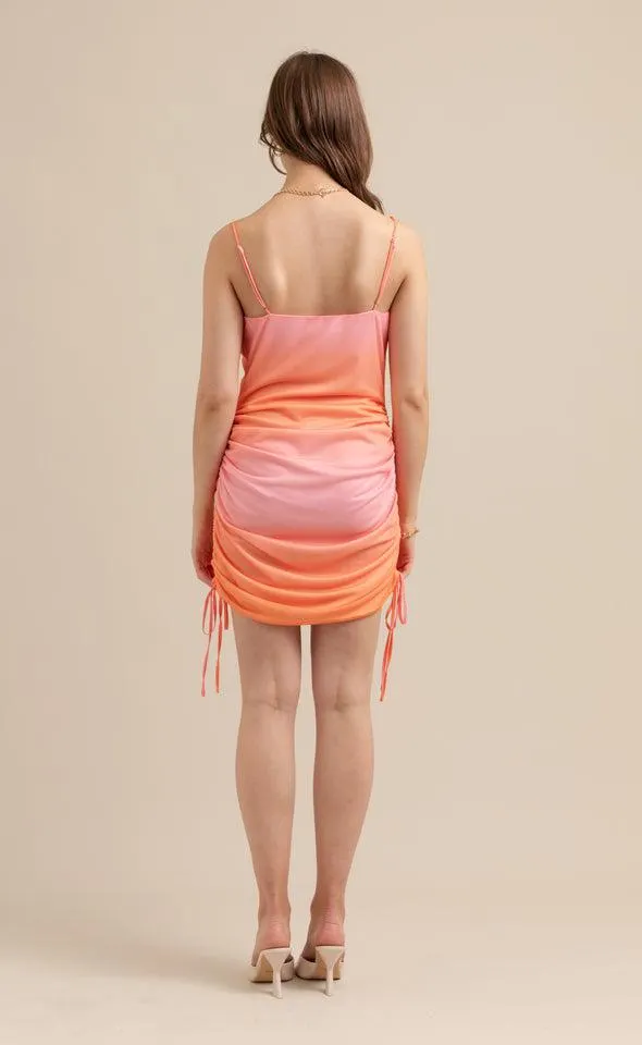 Printed Mesh Ruched Dress