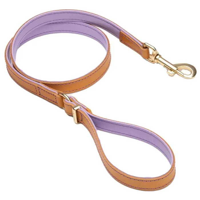 Oxford Leash Lite