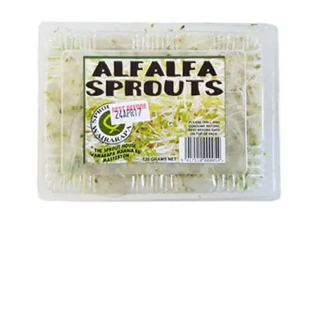 Alfalfa Sprouts
