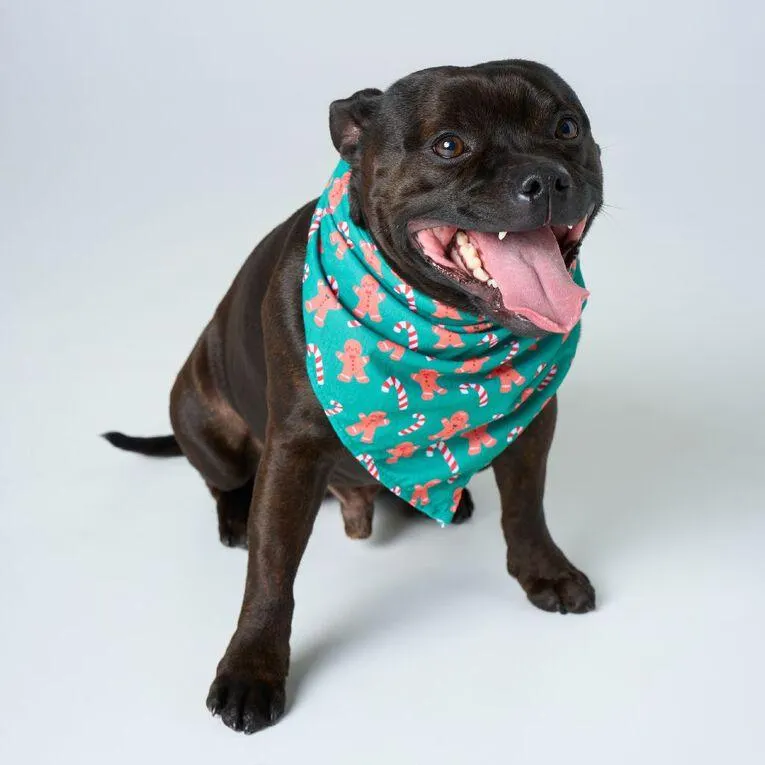 Wonderland Pet Christmas Bandana Assorted