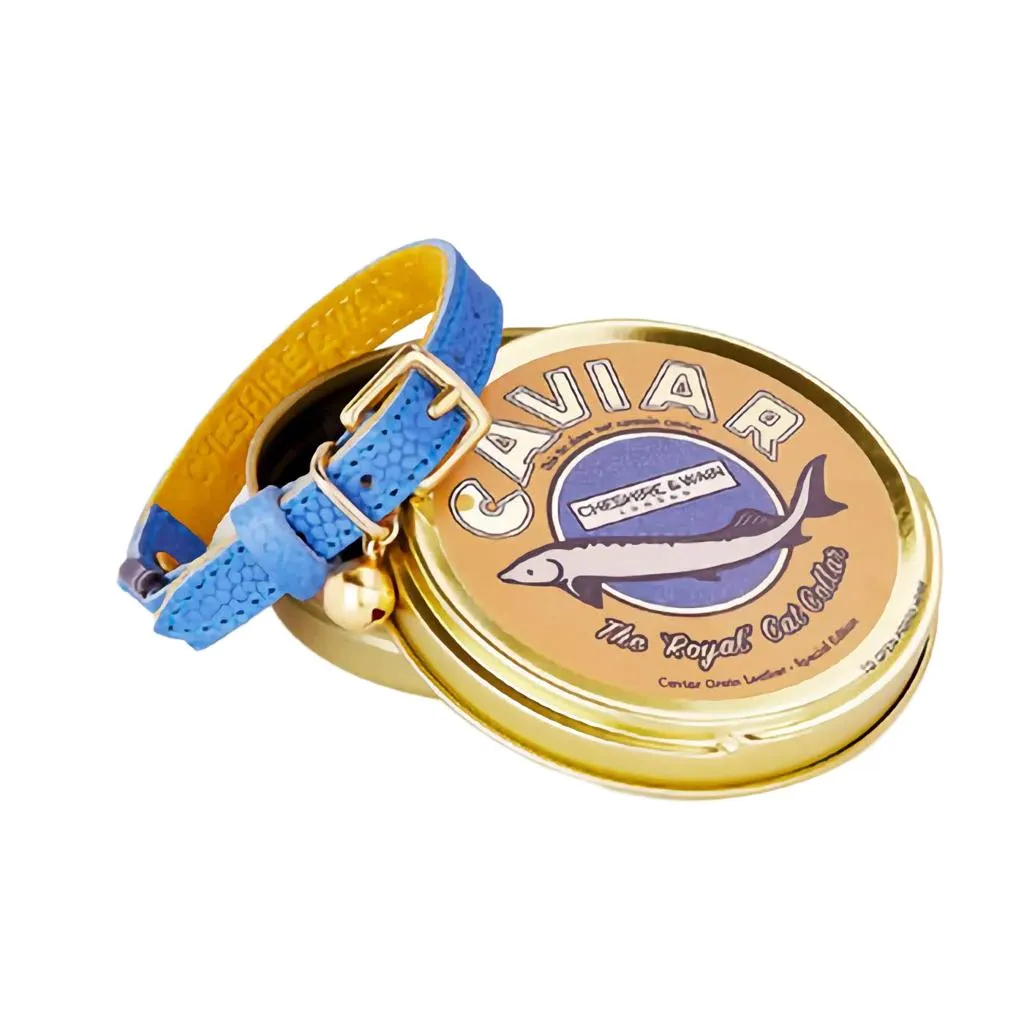 Caviar Leather Cat Collar - Royal Blue