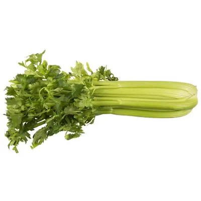 NZ Celery ea