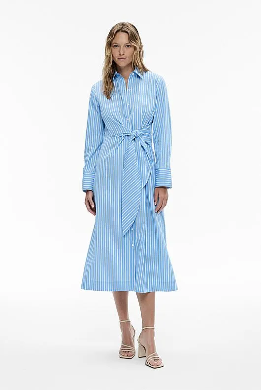 Stripe Wrap Waist Shirt Dress