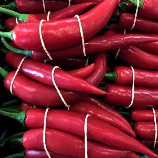 Fresh Chilli Bag