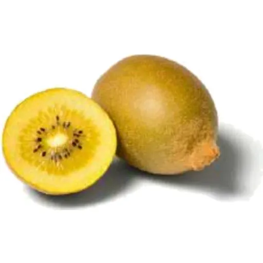 Kiwifruit Gold