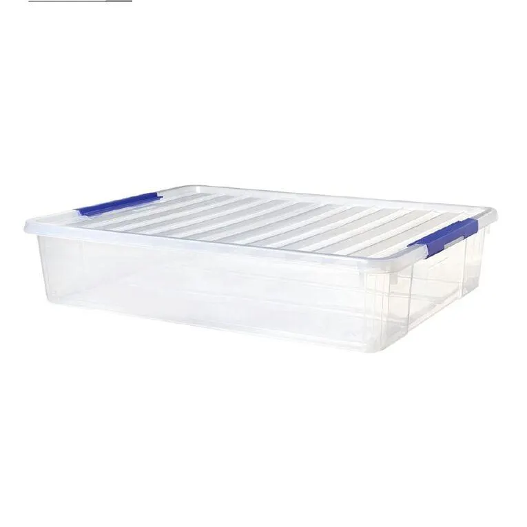 Sistema Storage Organiser Clear 30L