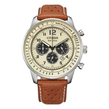Citizen Gents Ecodrive 100m WR Watch