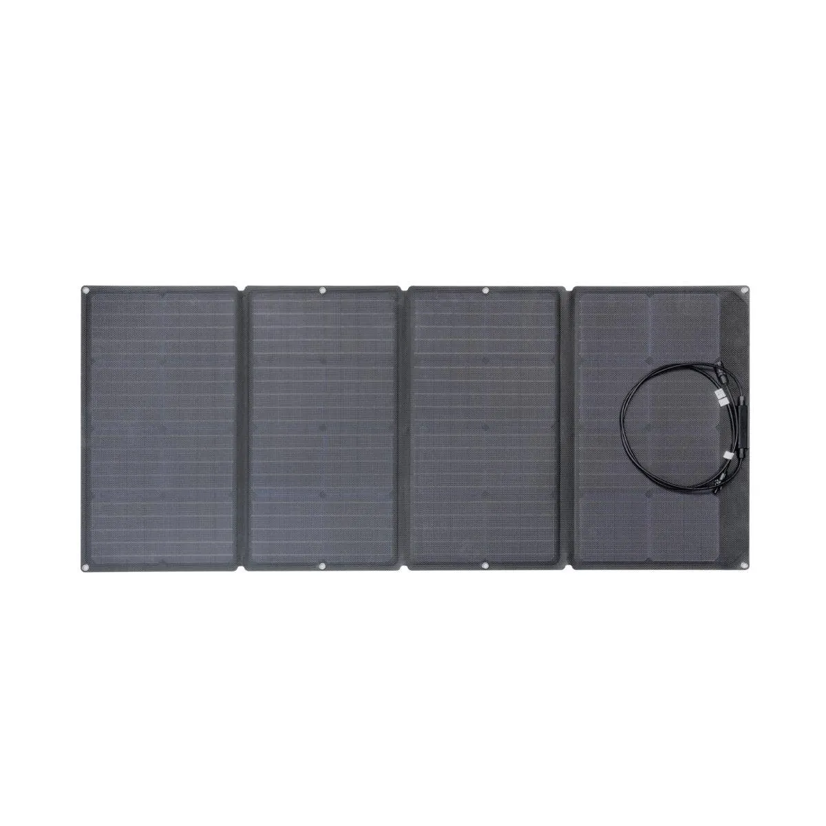 Ecoflow Nextgen 160W Bifacial Solar Panel