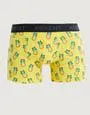 Organic Cotton Pineapple Boxers in Yellow