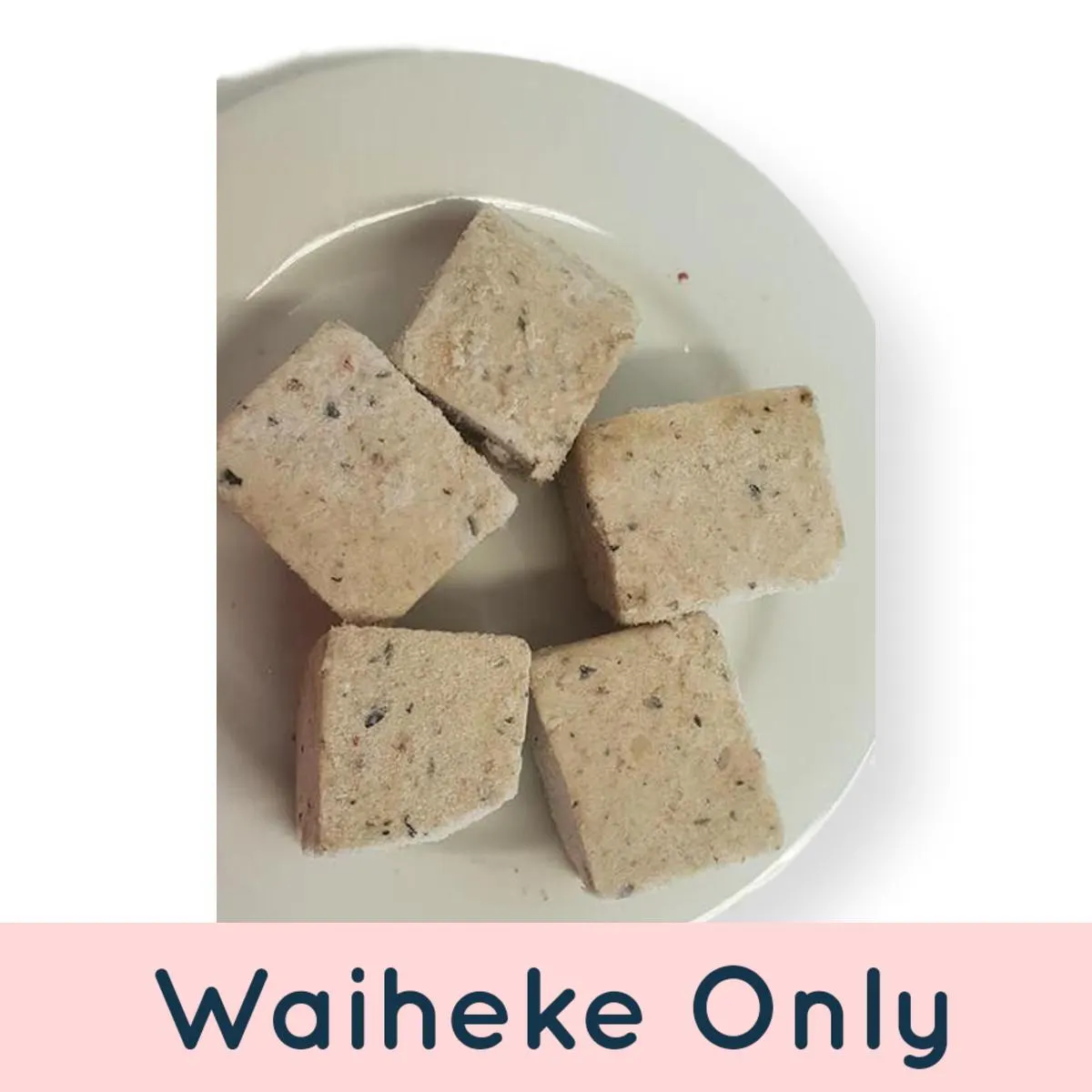 Raw Pawz Salmon 1.2kg *Waiheke Only*