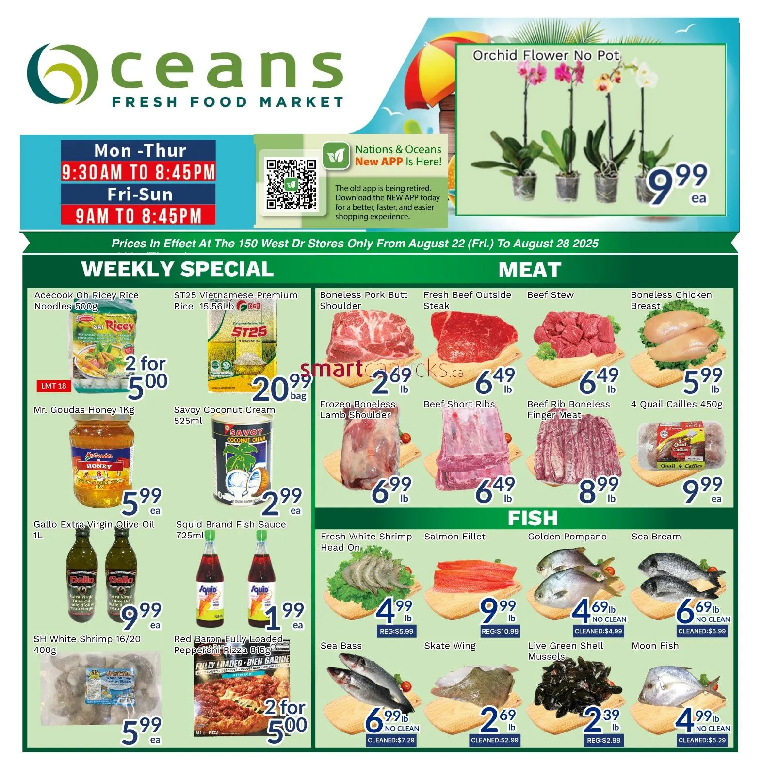 Oceans flyers from August 22 to August 28 2025 - flyer page 