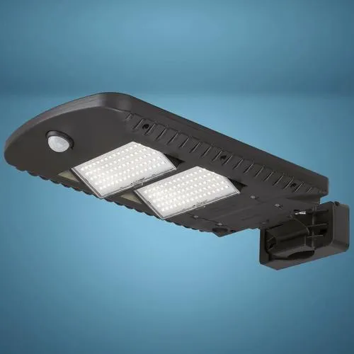 Patriot Lighting® Solar-Powered LED Motion Sensor Security Area Light
