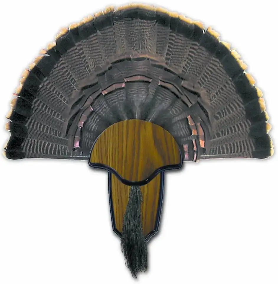 HUNTERS SPECIALTIES Strut Turkey Tail & Beard Mounting Kit - Durable Easy To Assemble Trophy Mount Kit With Hardware Included