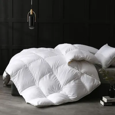 APSMILE Luxurious Feathers Down Full Queen Duvet Insert Comforter White