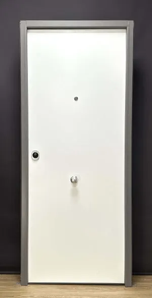 Puerta de entrada ACORAZADA DERECHA 203x86 cm (Envío gratis)