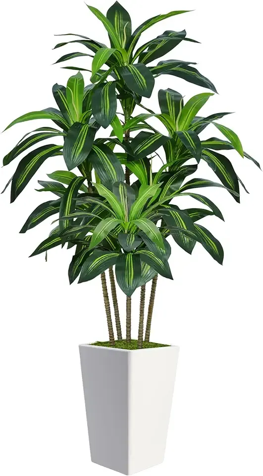 6FT Artificial Dracaena Tree, Fake Tree Indoor with White Tall Planter,Tall Artificial Plants Indoor,Artificial Silk Tree for Home Office Decor,Housewarming Gift (White)