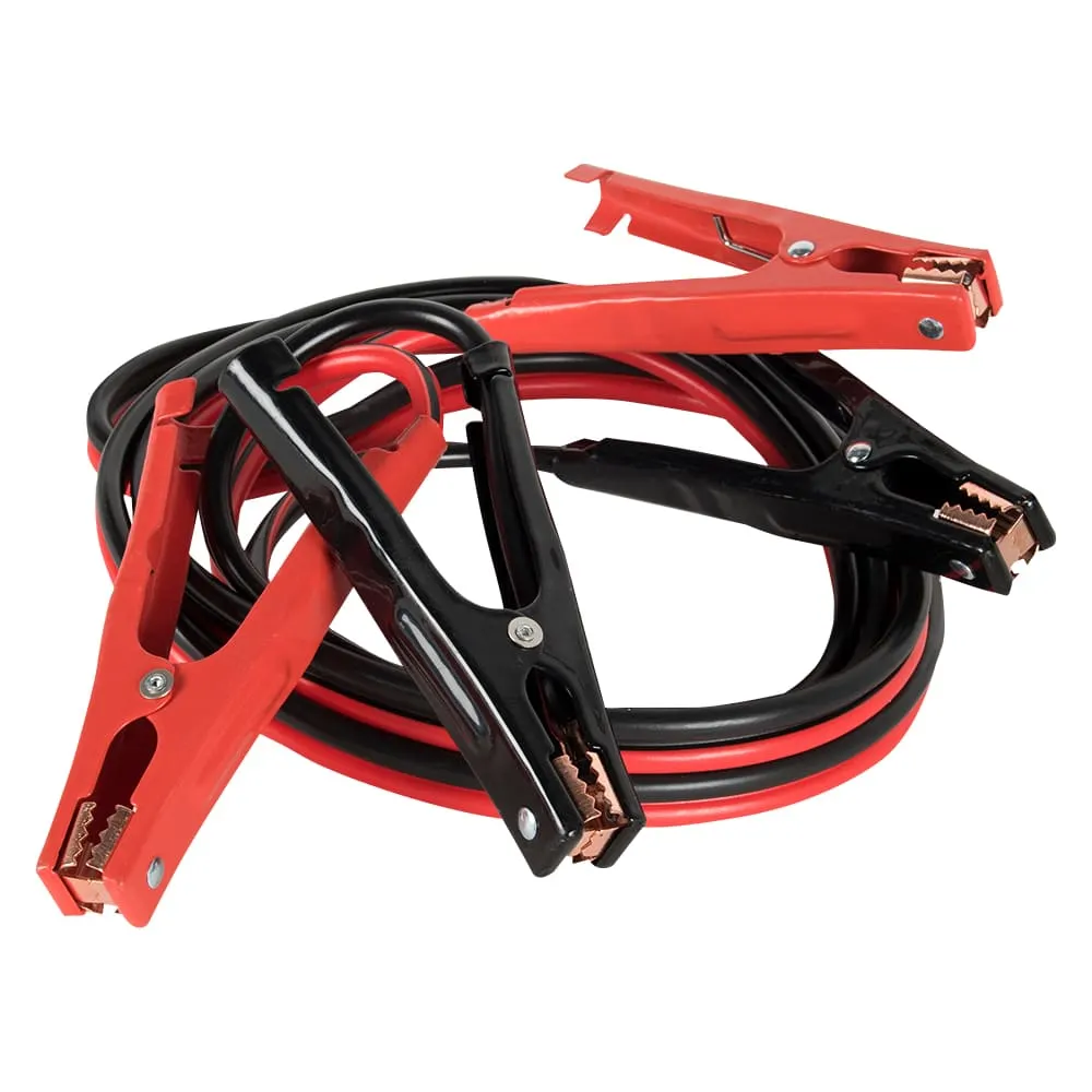 Câbles de survoltage 12 pi